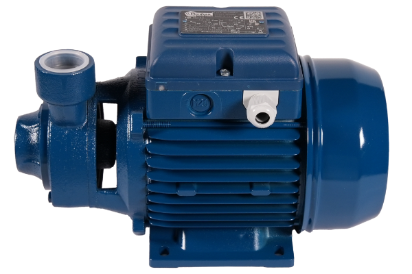 Su Motoru 1 HP (İtalyan)